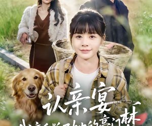 短剧《认亲宴，我亲手断了她的豪门梦》49集夸克网盘免费畅享观看