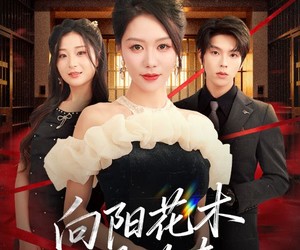 短剧《新：向阳花木易为春》72集夸克网盘在线免费观全集