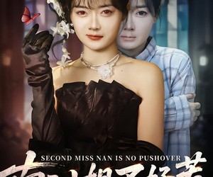 短剧《南二小姐不好惹》65集夸克网盘免费在线赏全集