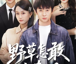 短剧《野草怎敢沐春风》61集夸克网盘免费畅享全集观看