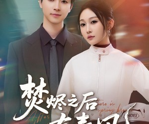 短剧《焚烬之后有春风》86集夸克网盘在线免费观全集