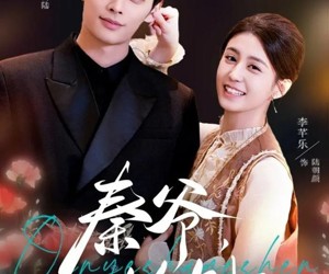 短剧《秦爷，扎个针》85集夸克网盘全集免费在线赏