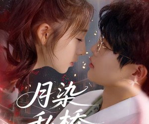 短剧《月染私桥》82集夸克网盘在线免费赏全集