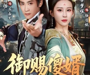 短剧《御赐傻婿》81集夸克网盘免费在线赏剧集