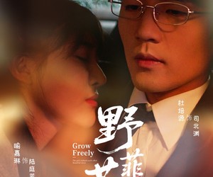 短剧《野芳菲》60集夸克网盘免费在线览