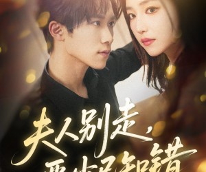 短剧《夫人别走恶少已知错》60集夸克网盘免费看完整剧集