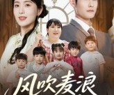 短剧《风吹麦浪遇见爱》70集夸克网盘免费完整观看