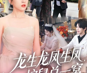 短剧《龙生龙凤生凤，蛇鼠总一窝》60集夸克网盘免费在线追剧