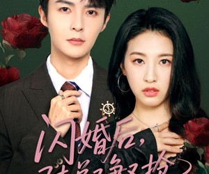 短剧《闪婚后陆总又争又抢》83集夸克网盘免费在线看全剧