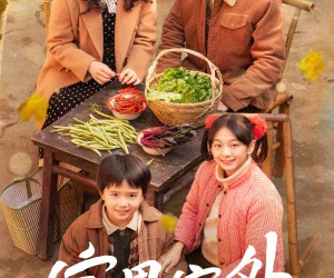 短剧《家里家外》79集夸克网盘免费在线览全集