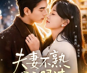 短剧《夫妻不熟，日子照过》80集夸克网盘免费在线播全集