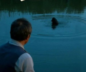 短剧《鱼坑》30集夸克网盘免费在线赏剧