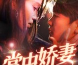 短剧《掌中娇妻墨爷独宠》30集夸克网盘免费在线观影