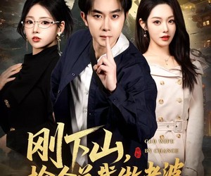 短剧《刚下山捡个总裁做老婆》80集夸克网盘免费在线看全剧