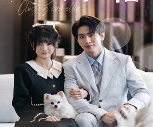 短剧《落幕山茶花》50集夸克网盘免费在线追剧