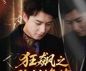 短剧《狂飙之隐剑锋芒》63集夸克网盘在线免费看全集