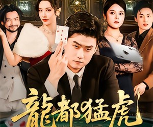 短剧《龙都猛虎》60集夸克网盘免费在线览全剧