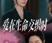 短剧《爱在生命交织时》33集夸克网盘免费畅享全集
