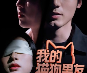 短剧《我的猫狗男友》53集夸克网盘免费在线观全集