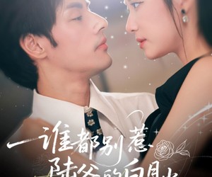 短剧《谁都别惹陆爷的白月光》79集夸克网盘免费在线赏全集