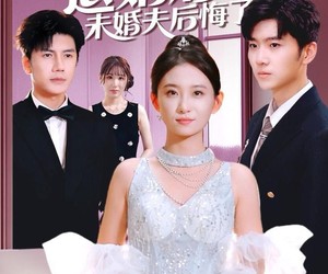 短剧《退婚后未婚夫后悔了》86集夸克网盘免费在线赏全集