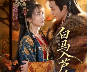 短剧《白马入芦花》59集夸克网盘免费在线尽情观看