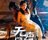 短剧《无声风暴》33集夸克网盘免费在线赏全集