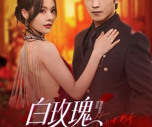 短剧《白玫瑰进阶手册》64集夸克网盘免费在线览观