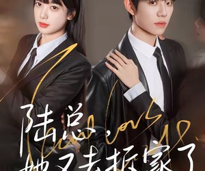 短剧《陆总，她又去拆家了》80集夸克网盘免费随时观看