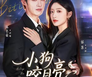 短剧《小狗咬月亮》66集夸克网盘免费在线赏剧