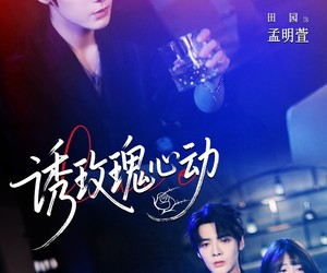 短剧《诱玫瑰心动》69集夸克网盘在线免费览全集