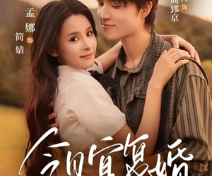 短剧《今日宜复婚》63集夸克网盘免费在线观全剧