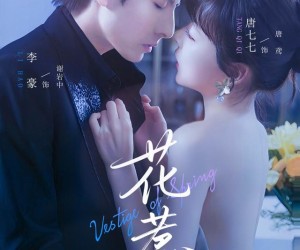 短剧《花惹》70集夸克网盘免费在线览剧