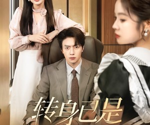 短剧《转身已是上京云》88集夸克网盘在线免费观剧