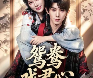 短剧《鸳鸯戏君心》60集夸克网盘免费在线赏剧