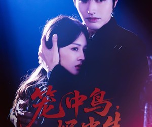 短剧《笼中鸟，烬中生》60集夸克网盘在线免费观看全集