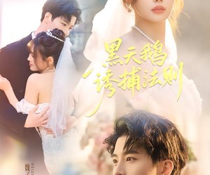 短剧《黑天鹅诱捕法册》80集夸克网盘免费观全集啦