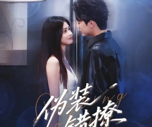 短剧《伪装错撩》62集夸克网盘在线免费观看无阻