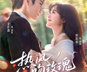 短剧《热风吻玫瑰》66集夸克网盘免费在线观享