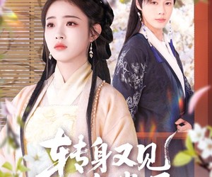 短剧《转身又见海棠开》79集夸克网盘免费在线赏剧