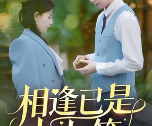 短剧《相逢已是上上签》30集夸克网盘在线免费赏全集