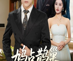 短剧《鸠占鹊巢终成空》67集夸克网盘免费在线观看全集