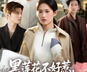 短剧《黑莲花不好惹，京圈太子集体破防》53集夸克网盘免费在线追剧