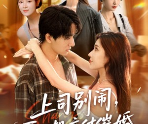 短剧《上司别闹哥只想应付催婚》60集夸克网盘免费观看完整版