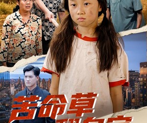 短剧《苦命草翻身宝》62集夸克网盘免费畅享观看