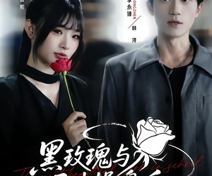 短剧《黑玫瑰与天才操盘手》81集夸克网盘在线免费观影全集