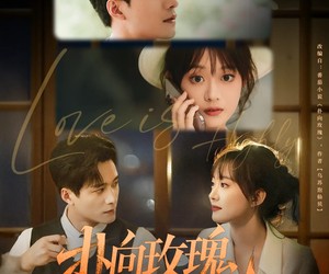 短剧《扑向玫瑰》77集夸克网盘在线免费畅看