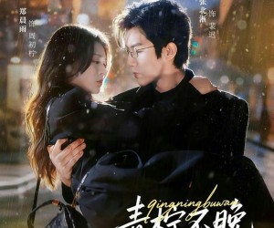 短剧《青柠不晚》78集夸克网盘免费看完整版剧集