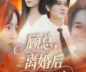 短剧《顾总，离婚后情至陌路》62集夸克网盘免费观完整剧