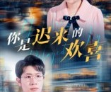 短剧《你是迟来的欢喜》93集夸克网盘在线免费观看